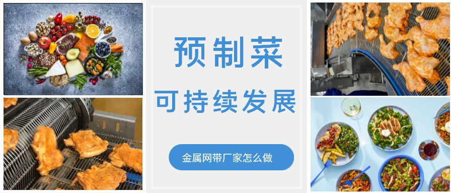 金屬輸送網(wǎng)帶的領(lǐng)頭企業(yè)，預(yù)制菜的可持續(xù)發(fā)展中能做什么？