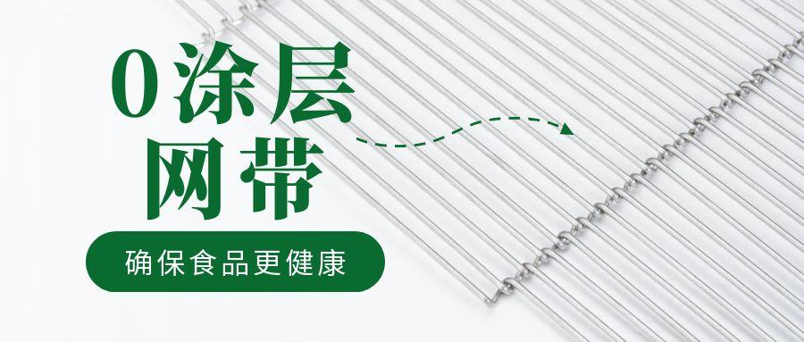 油炸機(jī)網(wǎng)帶“0 涂層”工藝，確保食品更健康